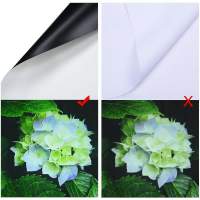 PANTALLA RETRÁCTIL PARA PROYECTOR 72 PULGADAS 4:3 BLANCA