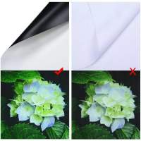 PANTALLA RETRÁCTIL PARA PROYECTOR 100 PULGADAS 16:9