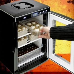 INCUBADORA DE HUEVOS DE REPTIL 5 – 60  C MARCA  VEVOR MODELO  23L 600