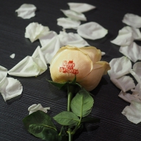 IMPRESORA INTELIGENTE DE CAFÉ MARCA  VEVOR MODELO  DIY COFFEE PRINTER 