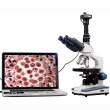 MICROSCOPIO TRINOCULAR   CAMARA USB 2000X