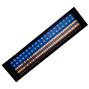 SOLALED PL14 DUO SOLALED PL14 DUO